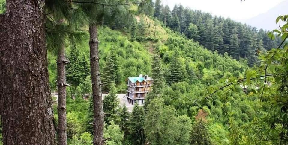 Photo of Others in Naggar