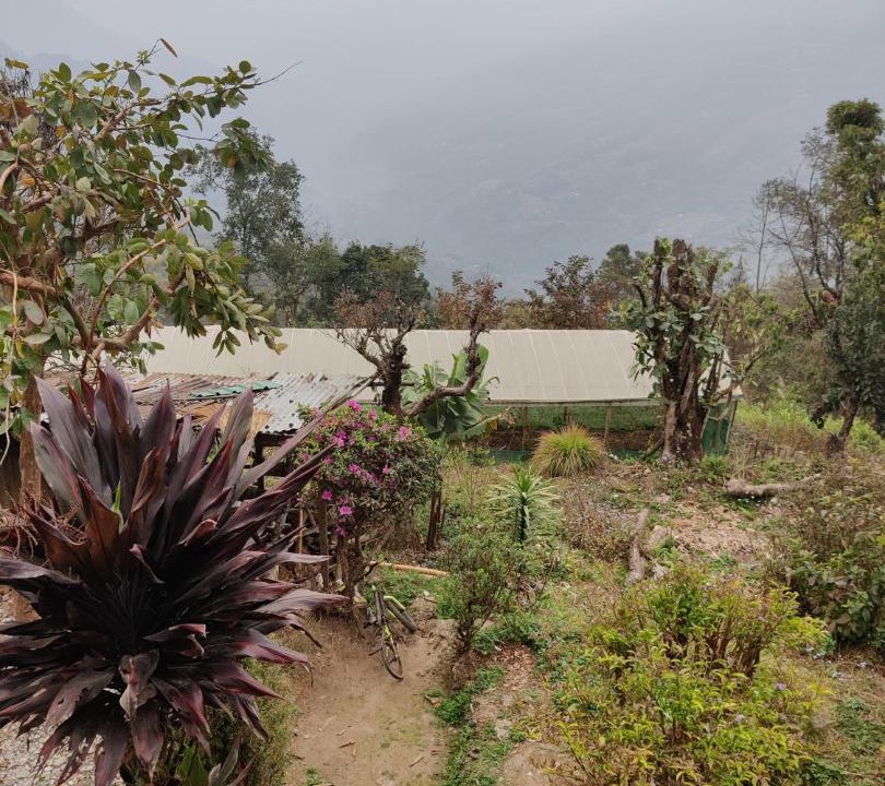 Photo of Others in Pedong