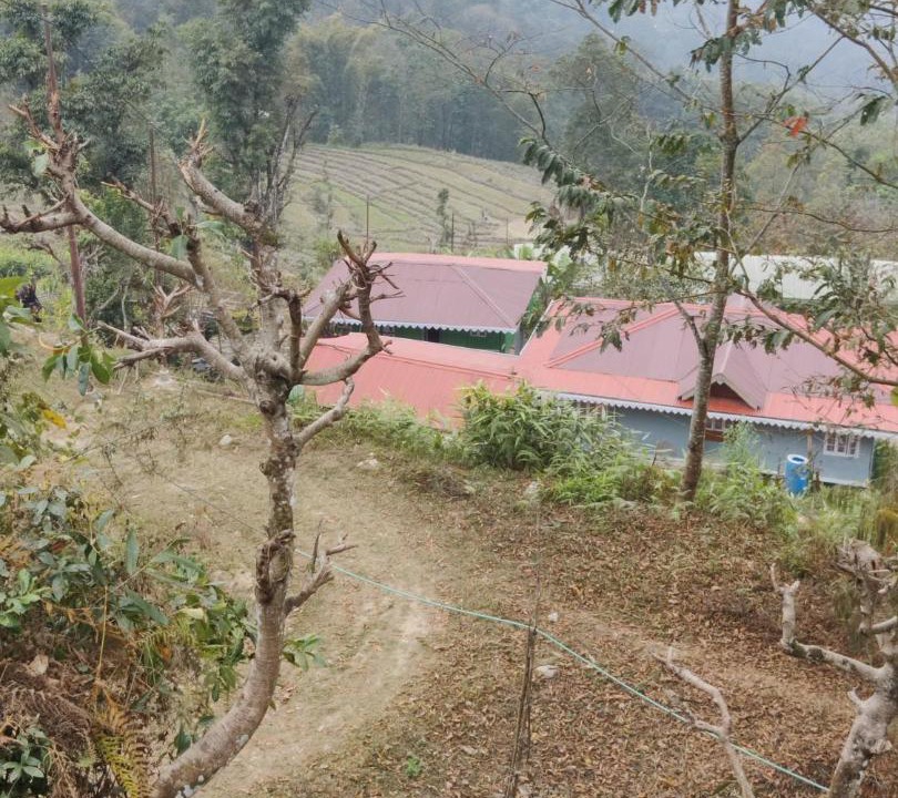 Photo of Others in Pedong