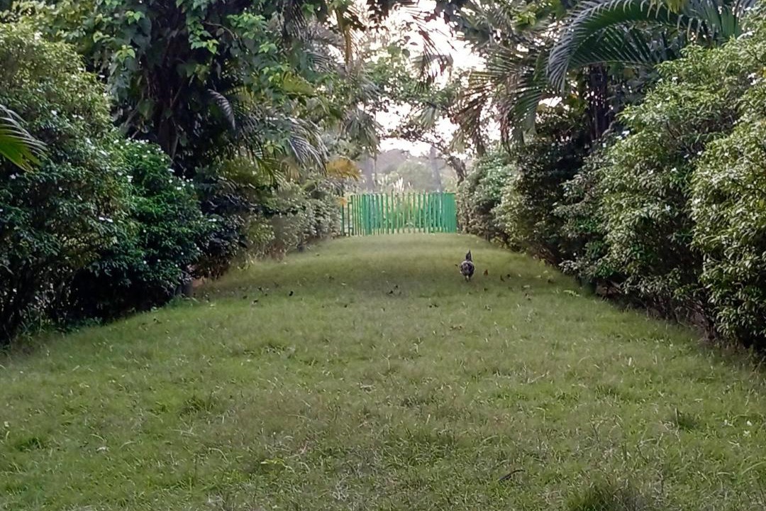 Photo of Others in Alipurduar