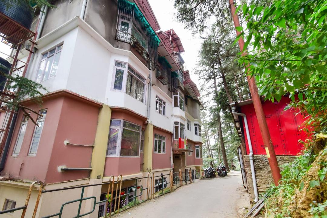 Photo of Others in Shimla