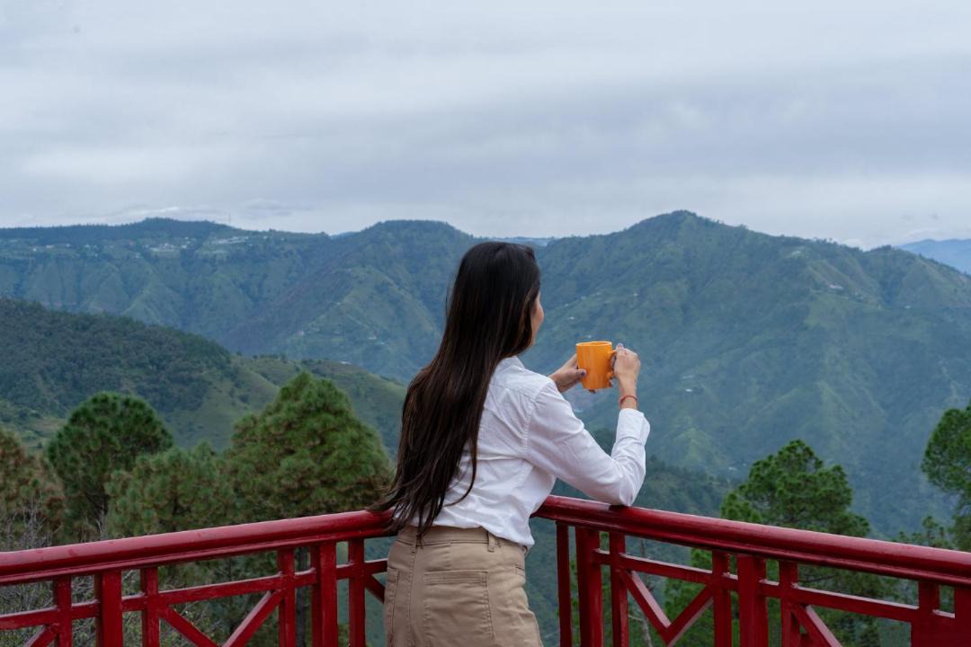 Photo of Others in Shimla