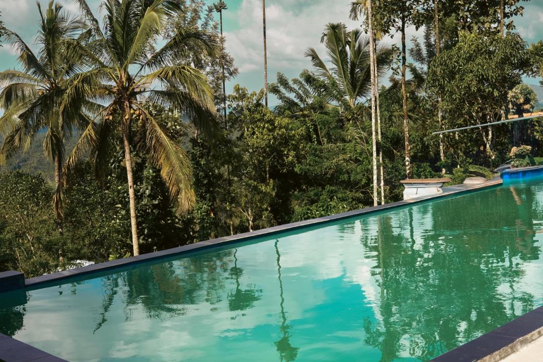 Photo of Others in Mananthavady