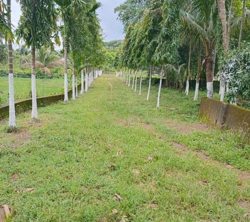Photo of Others in Sylhet