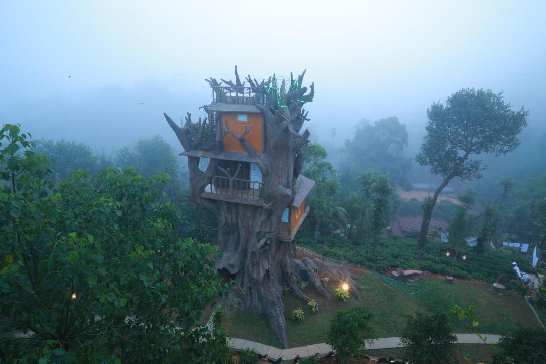 Photo of Others in Mananthavady