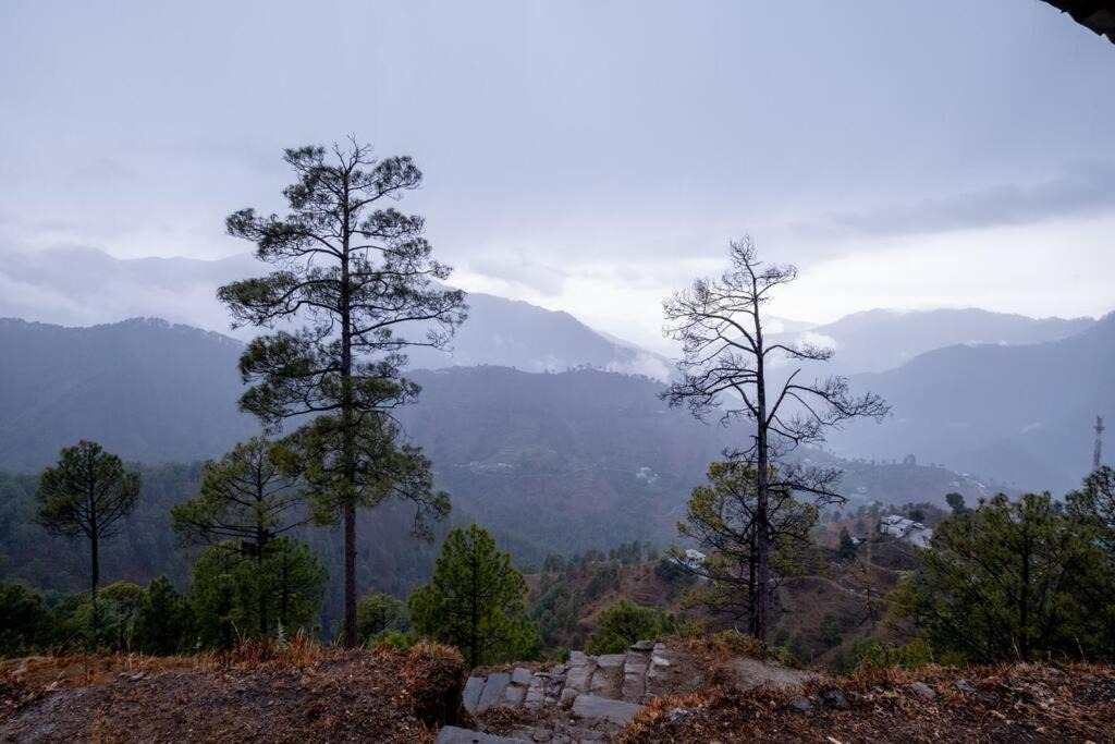 Photo of Others in Binsar