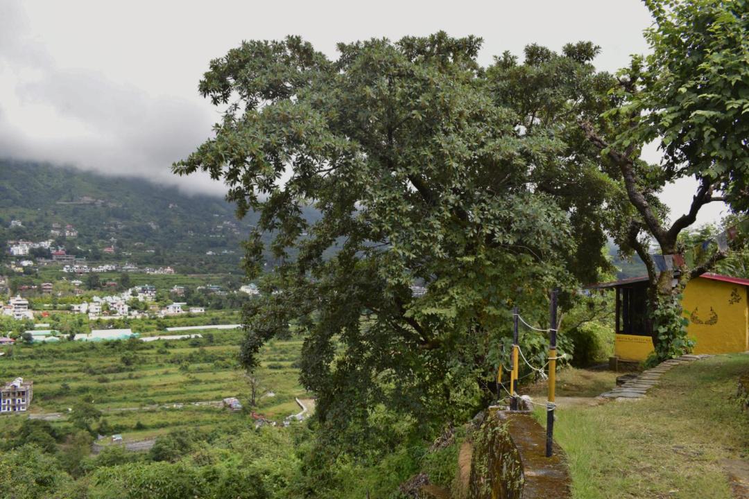 Photo of Others in Bhimtal