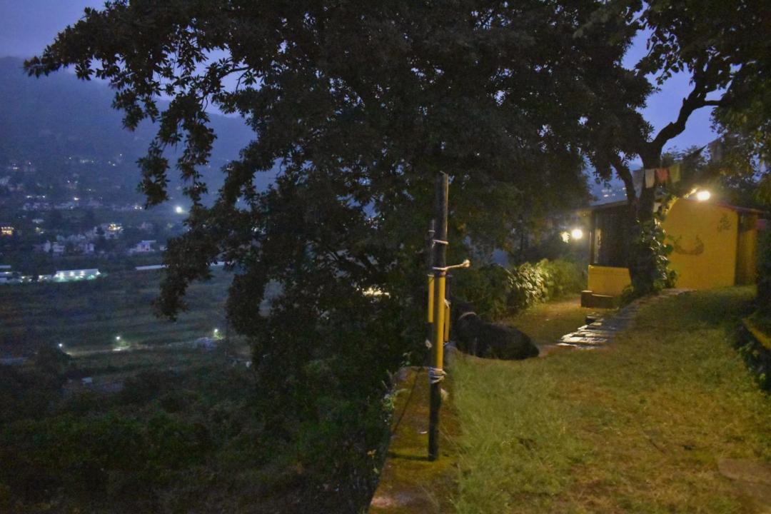 Photo of Others in Bhimtal
