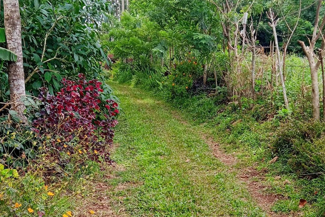 Photo of Others in Yercaud