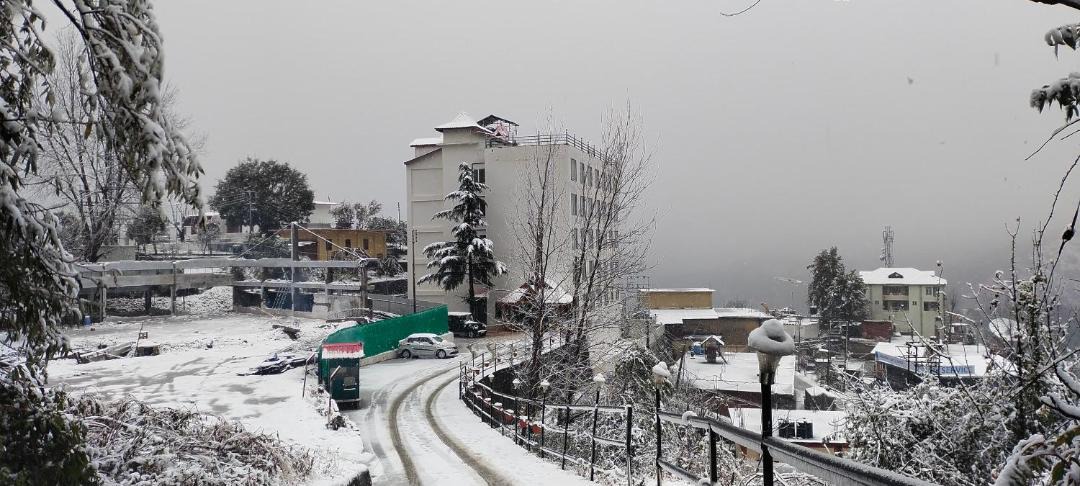 Photo of Others in Shoghi