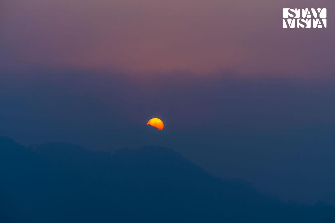 Photo of Others in Shimla
