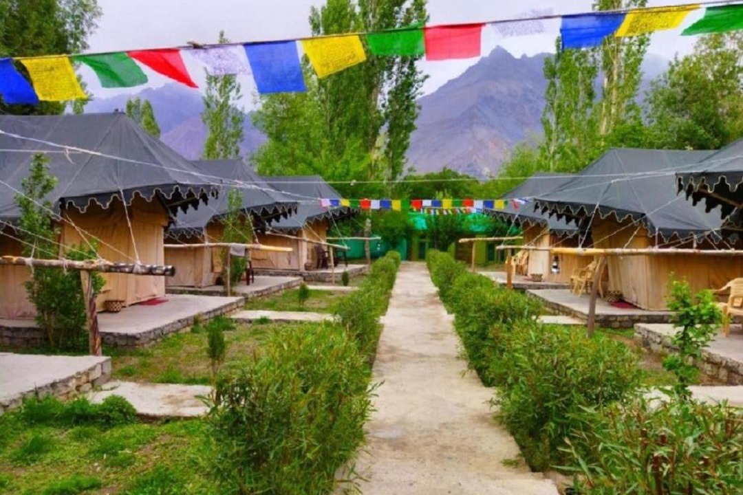 Photo of Others in Nubra Valley