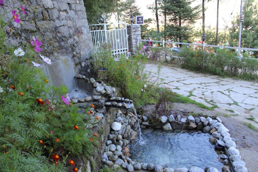 Photo of Others in Manali