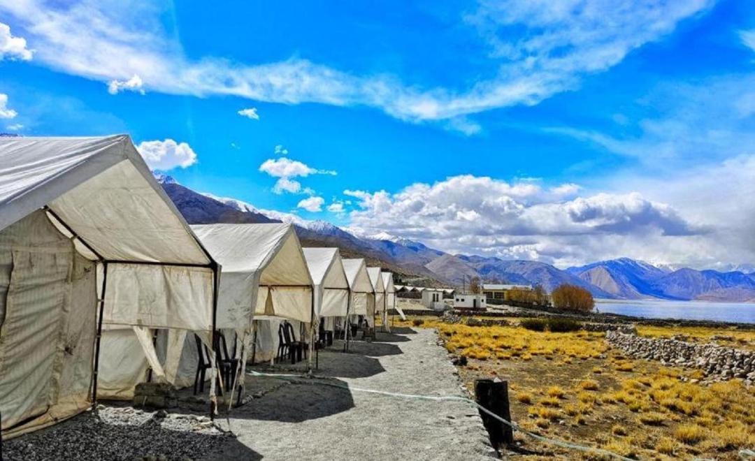 Photo of Others in Leh