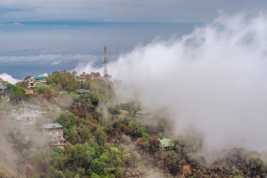 Photo of Others in Kasauli