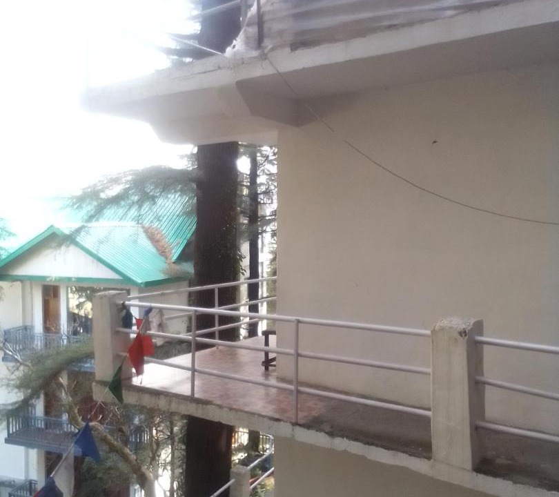 Photo of Others in Dharamshala