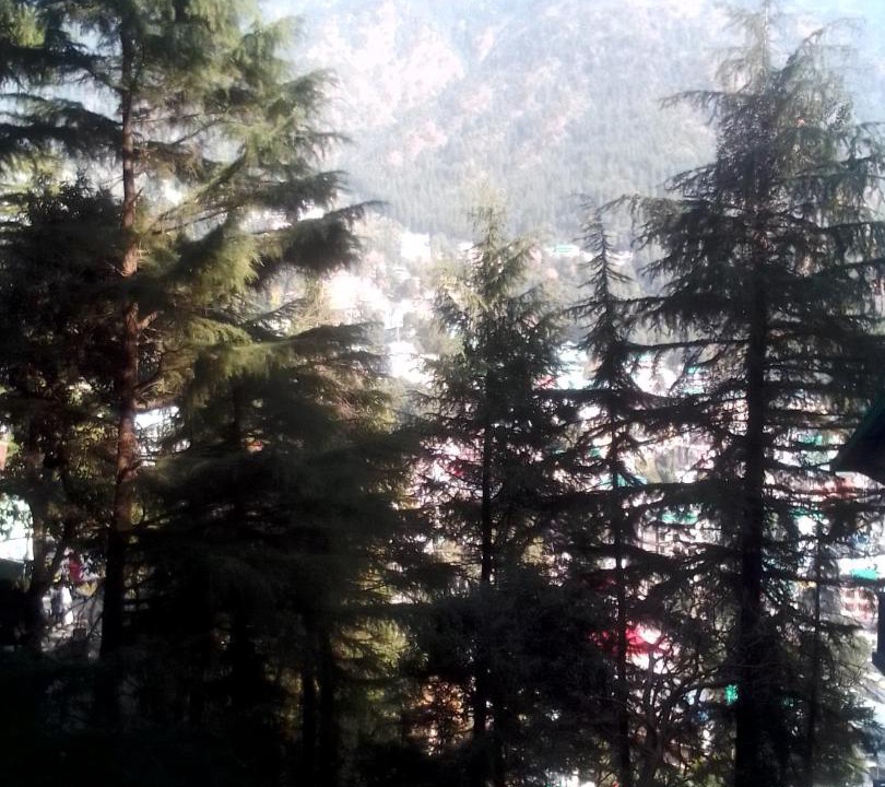 Photo of Others in Dharamshala