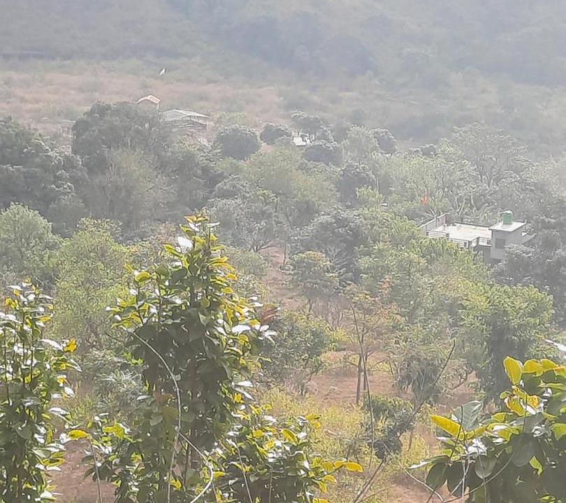 Photo of Others in Jakh