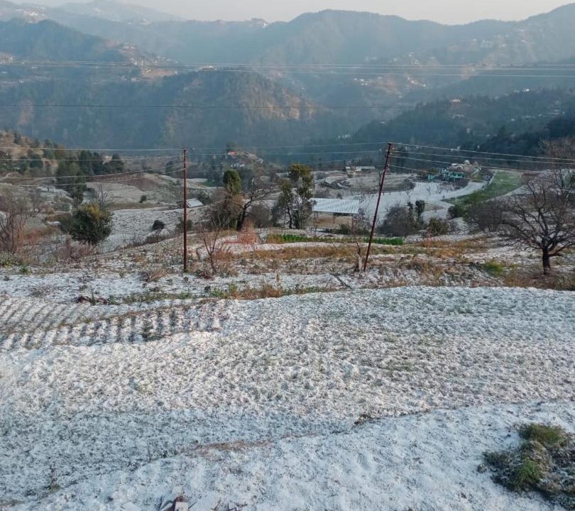 Photo of Others in Dhanachuli