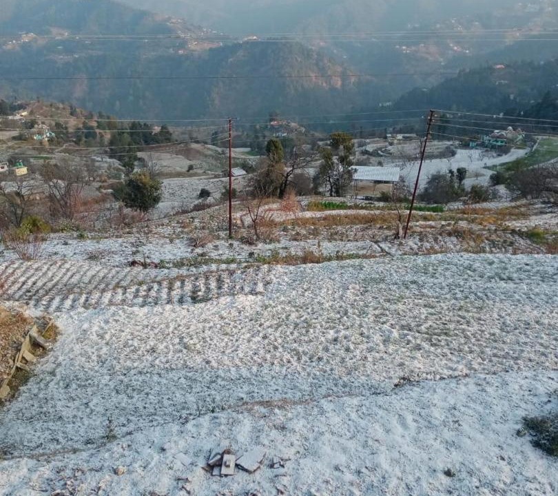 Photo of Others in Dhanachuli