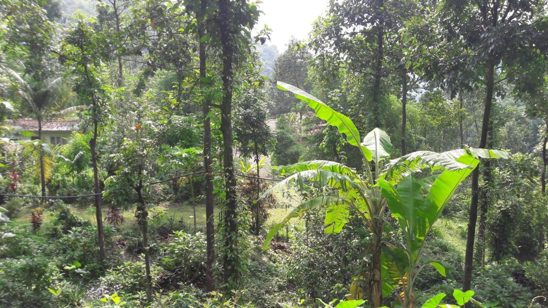 Photo of Others in Elappara