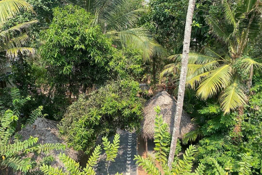 Photo of Others in Varkala