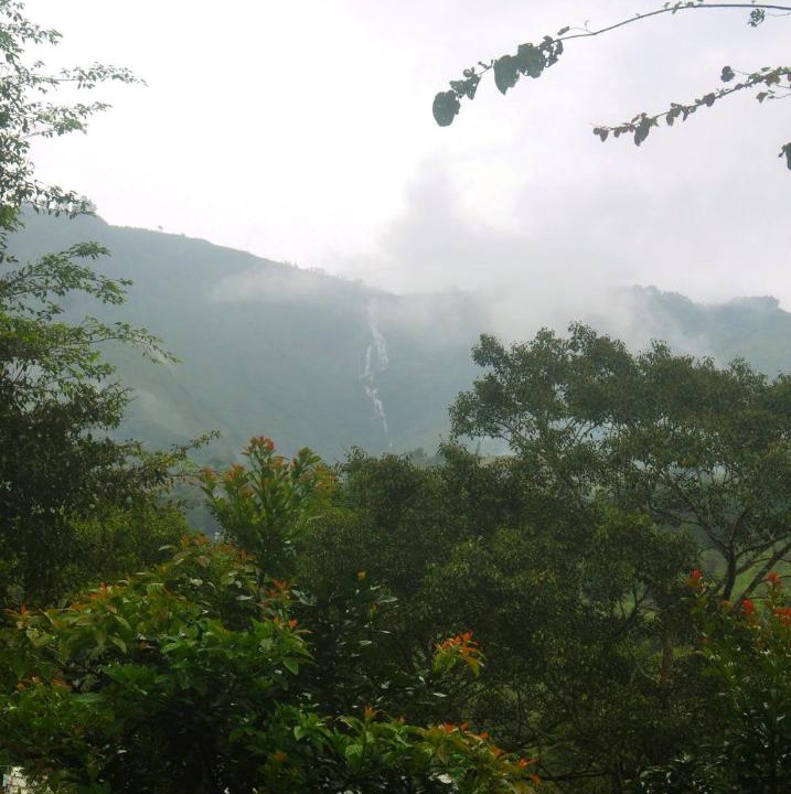 Photo of Others in Kodaikanal