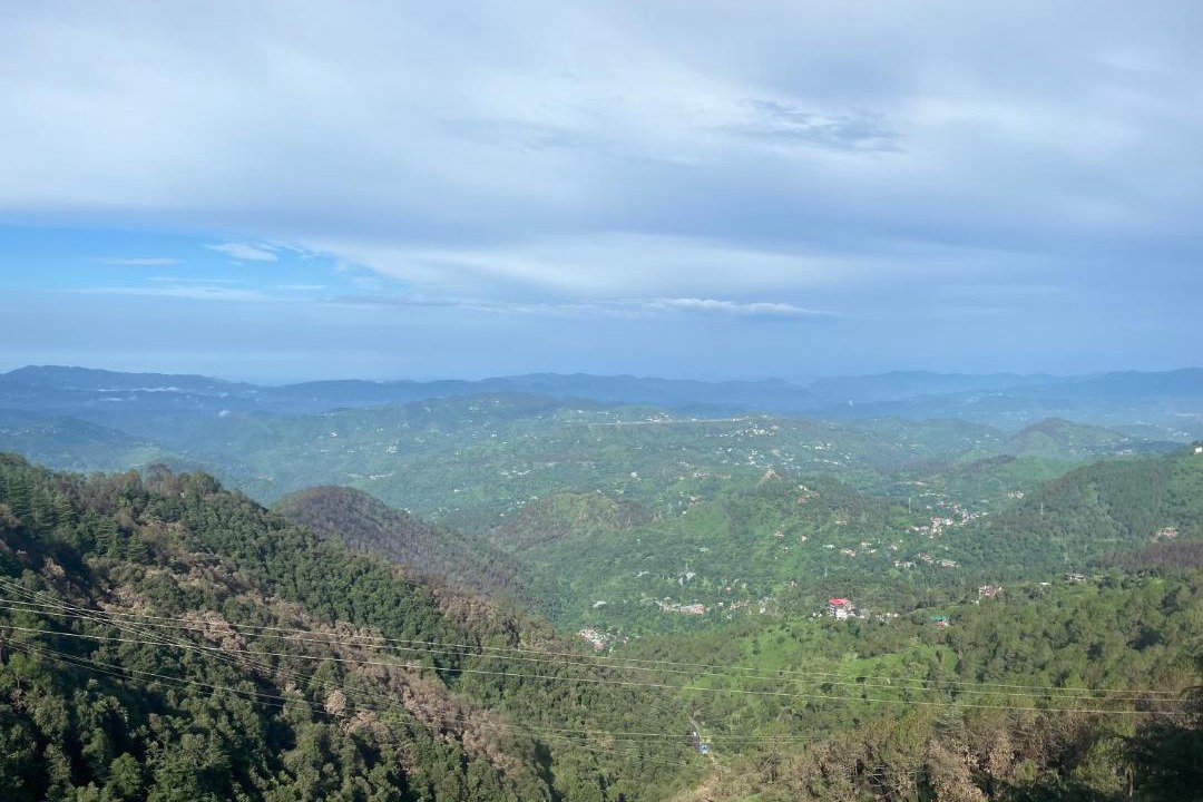 Photo of Others in Shimla