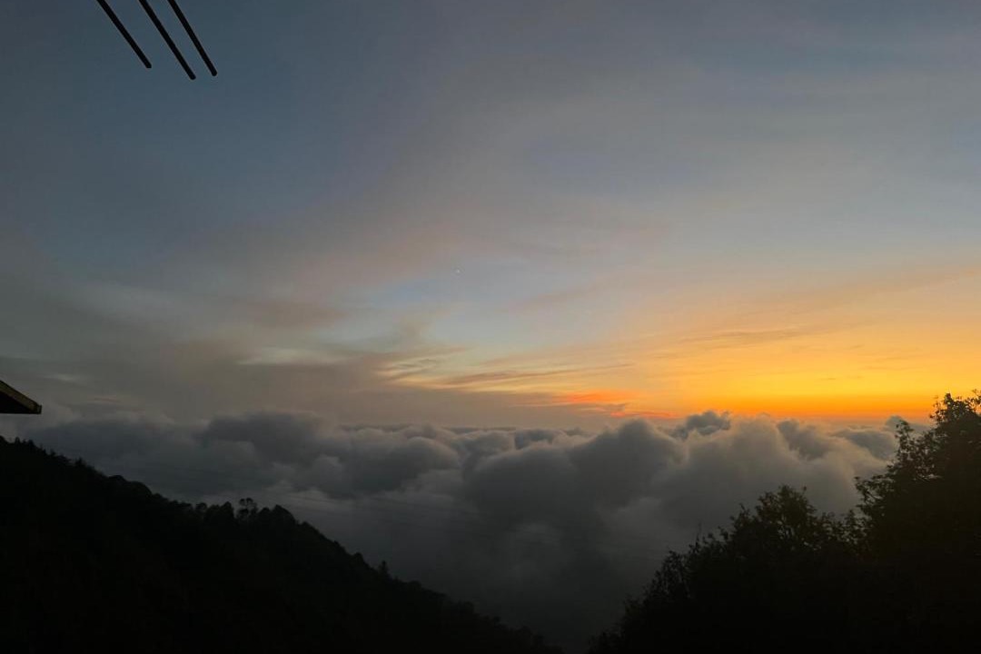 Photo of Others in Shimla