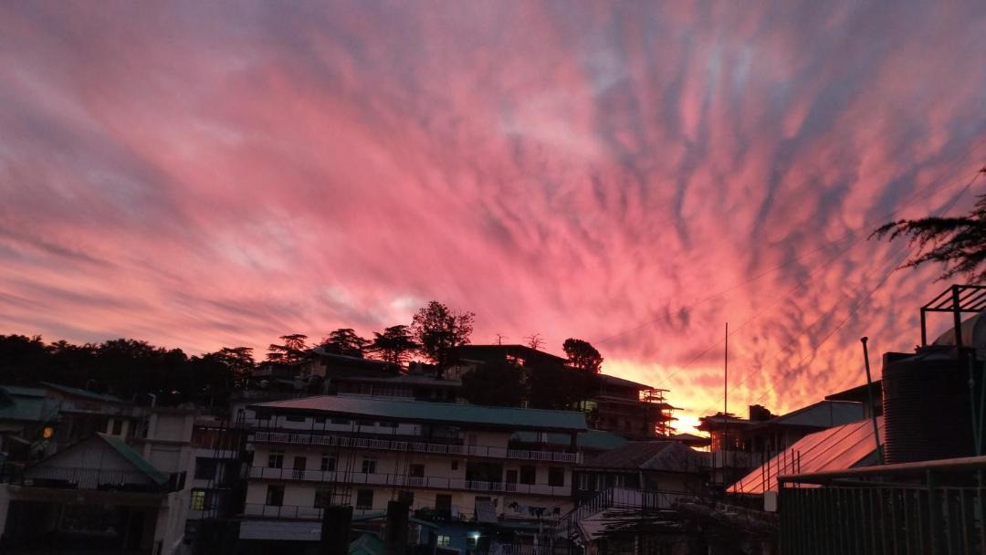 Photo of Others in McLeod Ganj