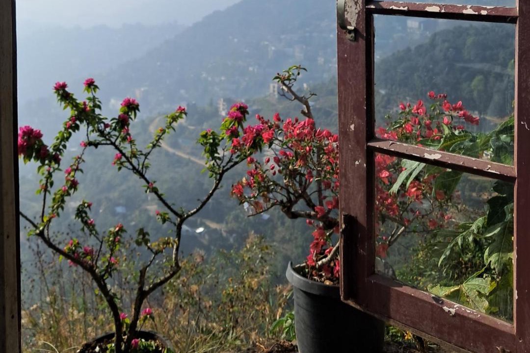 Photo of Others in Aizawl