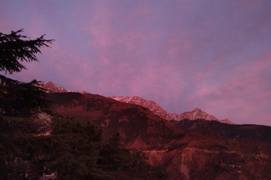 Photo of Others in McLeod Ganj