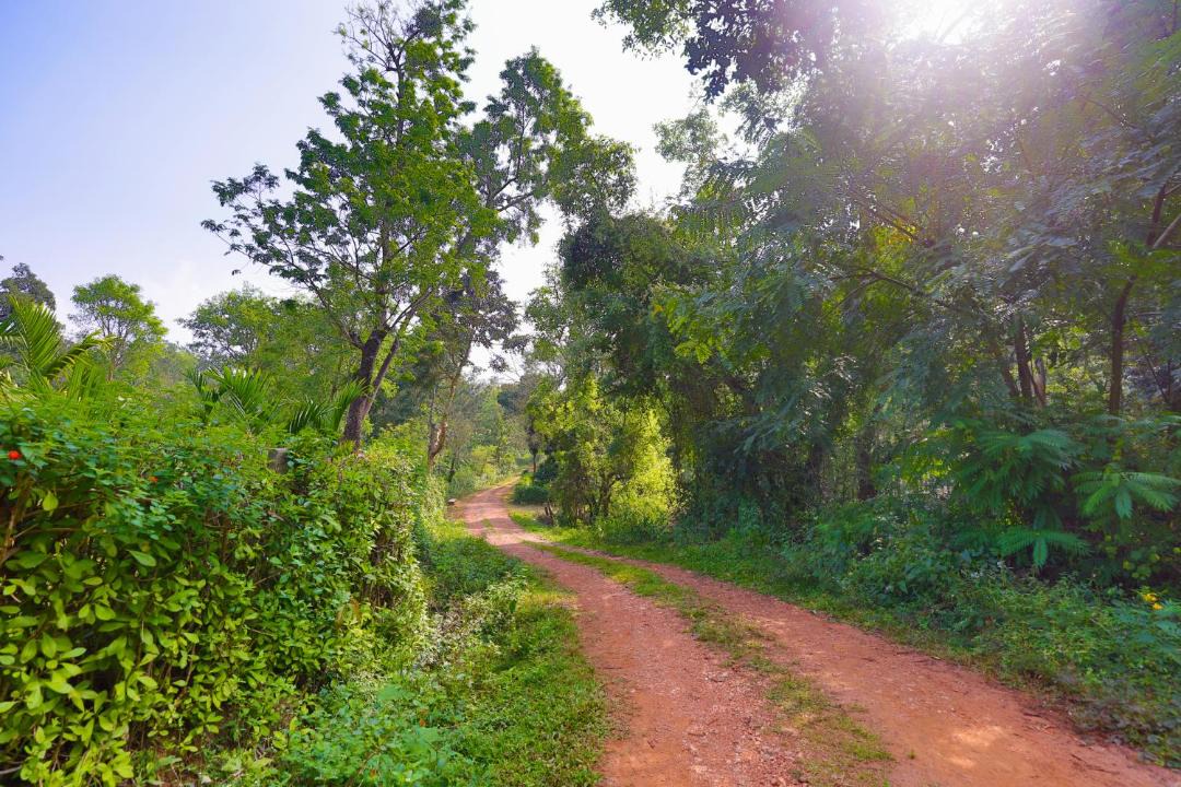 Photo of Others in Chikkamagaluru