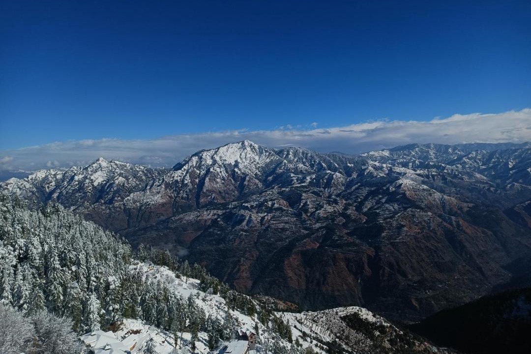 Photo of Others in Shimla