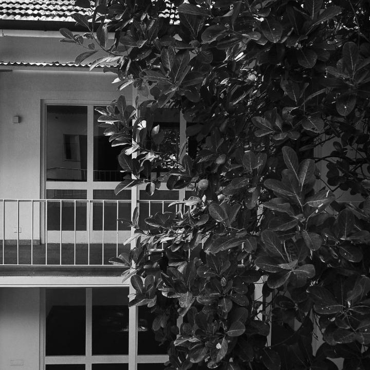 Photo of Others in Fort Kochi