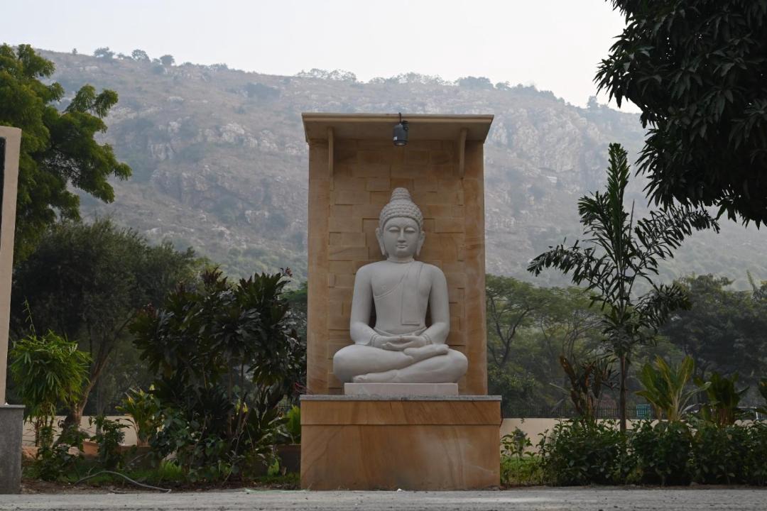 Photo of Others in Rajgir