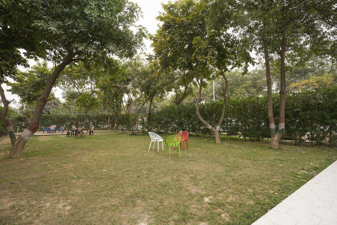 Photo of Others in Greater Noida