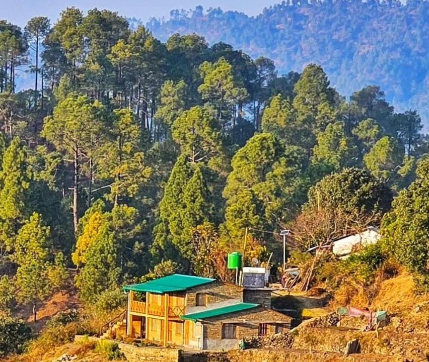 Photo of Others in Almora