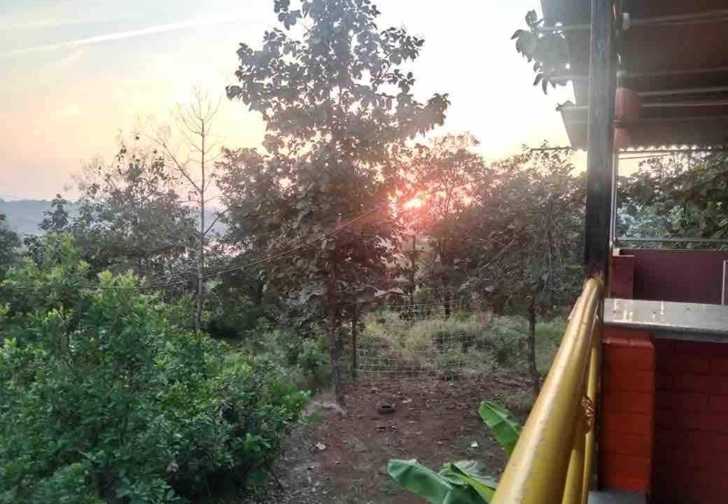 Photo of Others in Kolad