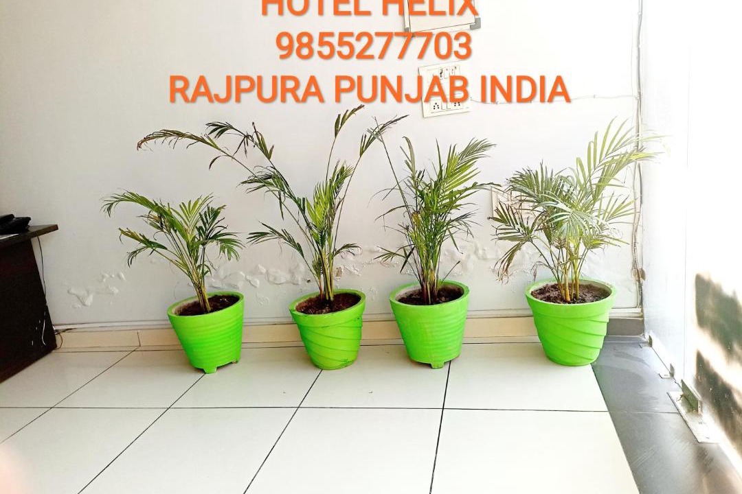 Photo of Others in Rajpura