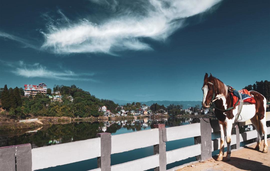 Photo of Others in Mirik