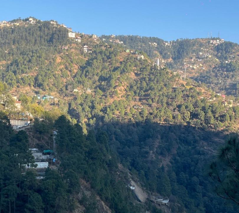 Photo of Others in Shimla