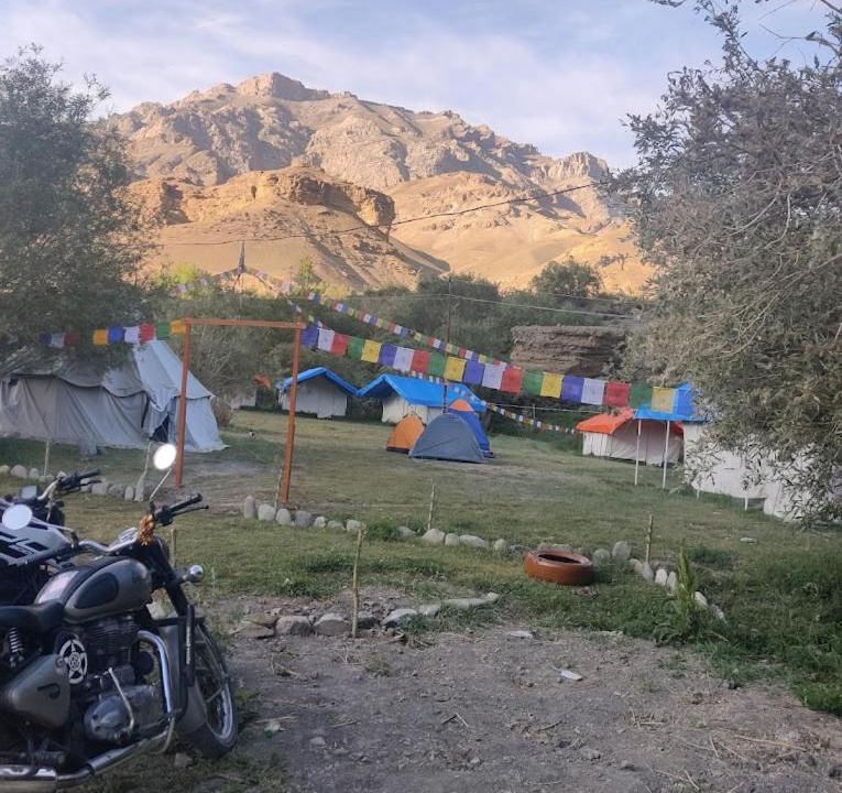 Photo of Others in Shargole