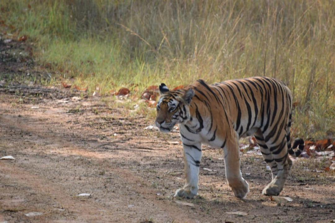 Photo of Others in Khajuraho
