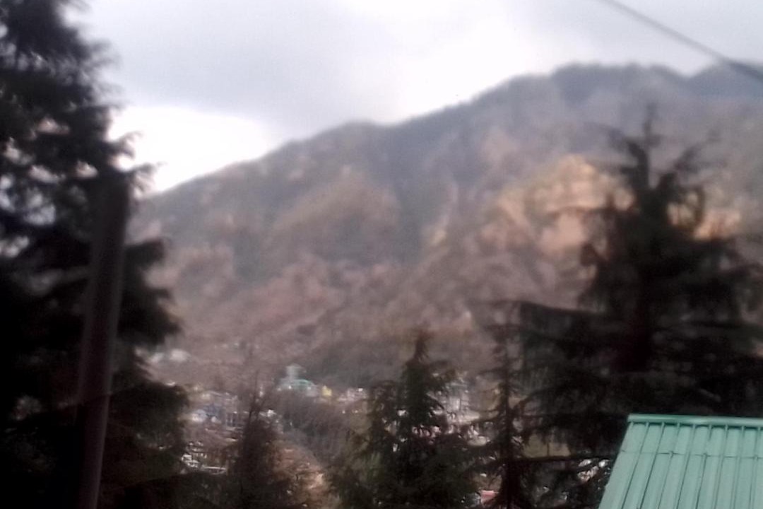 Photo of Others in Dharamshala