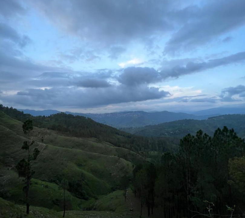Photo of Others in Almora