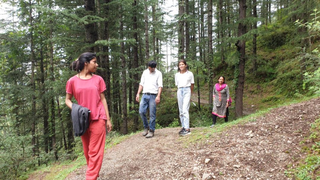 Photo of Others in Naldehra