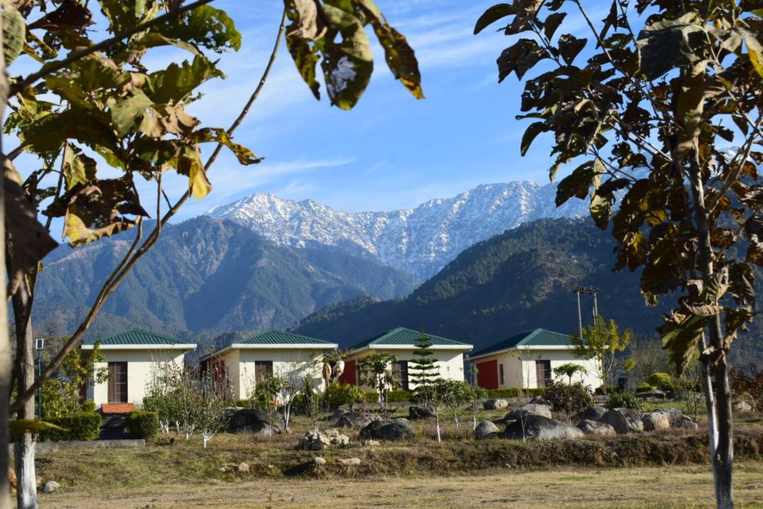 Photo of Others in Dharamshala
