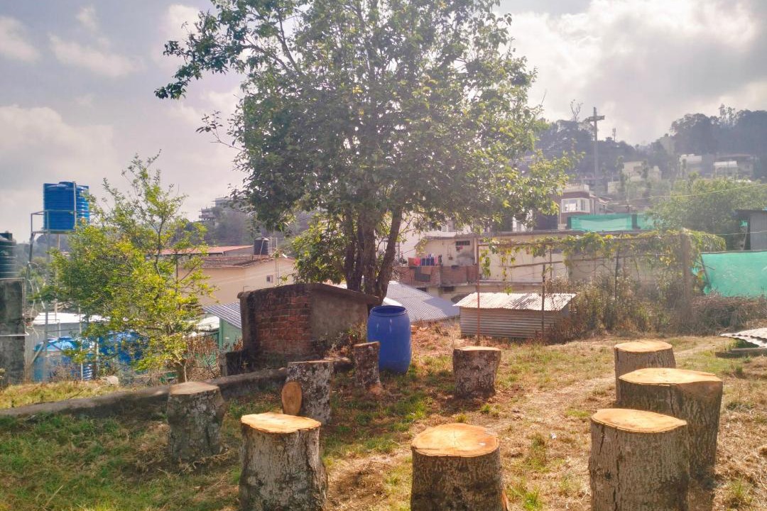 Photo of Others in Kodaikanal
