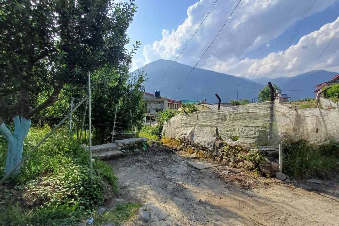 Photo of Others in Manali